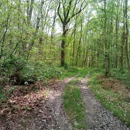 Bienvenue Dans Le Pays De Caux, Entre Foret Et Semesterbostad Gruchet-le-Valasse
