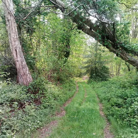 Bienvenue Dans Le Pays De Caux, Entre Foret Et