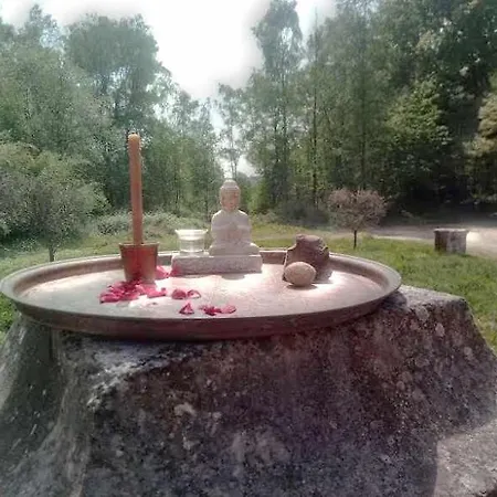 Bienvenue Dans Le Pays De Caux, Entre Foret Et Gruchet-le-Valasse