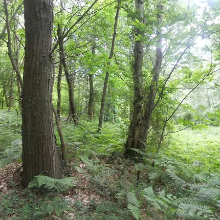 Bienvenue Dans Le Pays De Caux, Entre Foret Et Semesterbostad *
