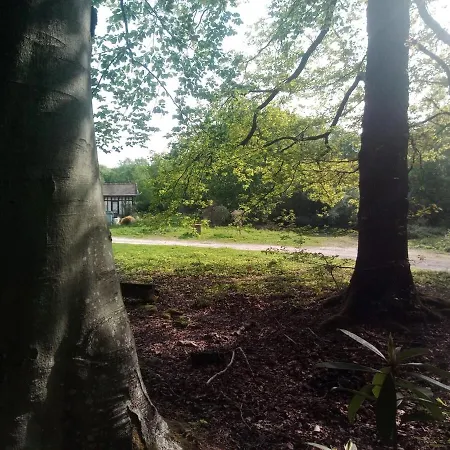 Bienvenue Dans Le Pays De Caux, Entre Foret Et Semesterbostad