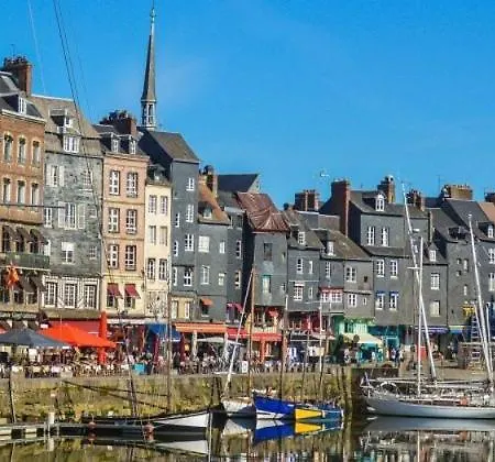 Bienvenue Dans Le Pays De Caux, Entre Foret Et Gruchet-le-Valasse